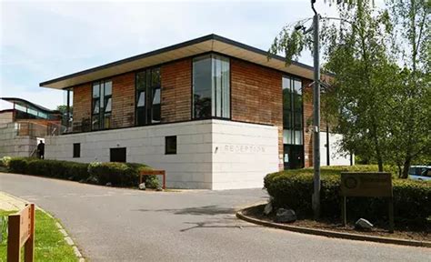 battersea dog donation|Getting to our centres .